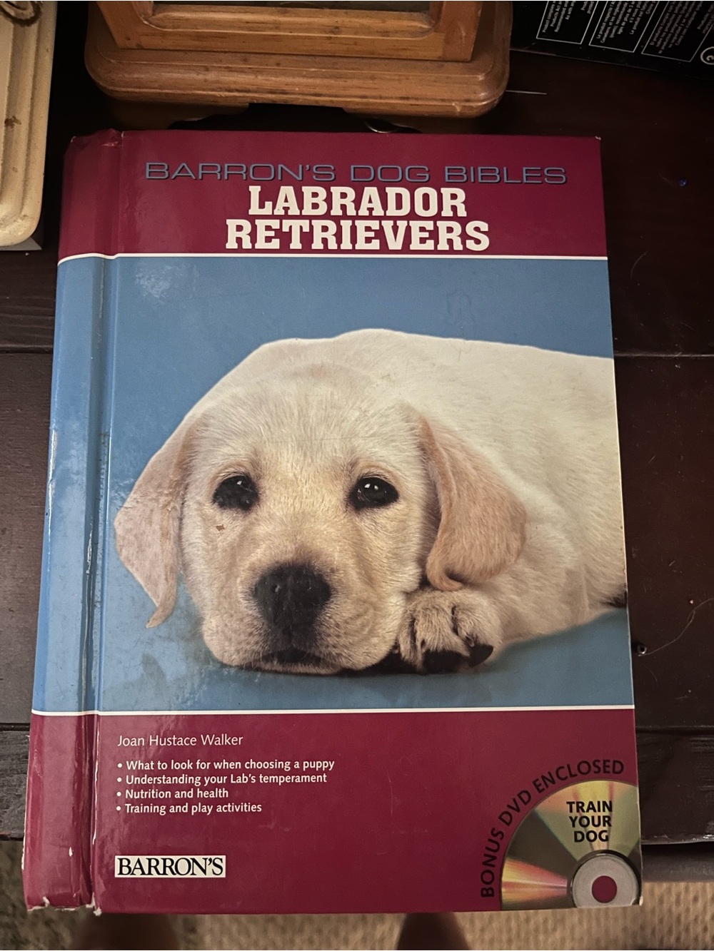 Source Unknown Barron's Labrador Retrievers Book - Blue and Maroon Cover